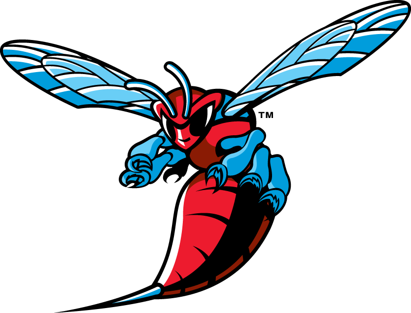 Delaware State Hornets 2004-Pres Primary Logo diy iron on heat transfer